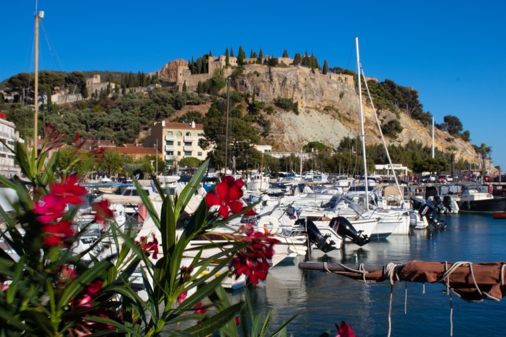 cassis-4391388_1280