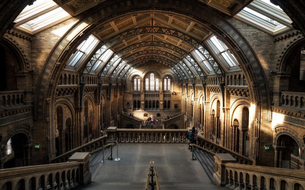 natural-history-museum-2203648_1280